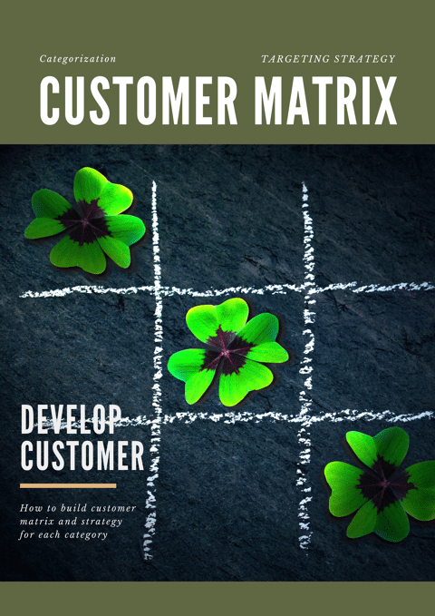 Customer Matrix: Categorization & Targeting Strategy