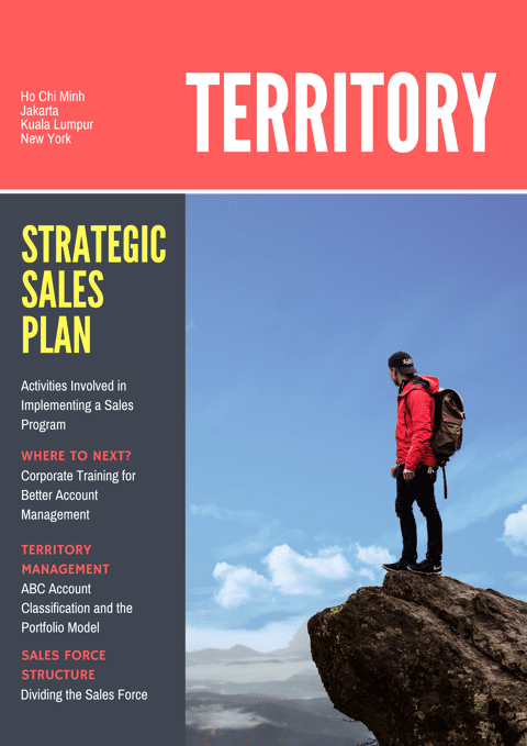 Strategic Sales Planning & Territory Management