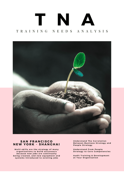 Training Needs Analysis: Business, People and Training Strategies