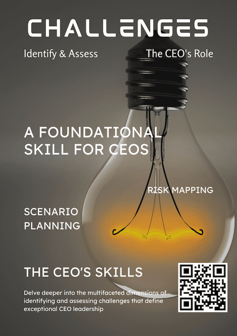 Identifying and Assessing Challenges - The CEO Skills