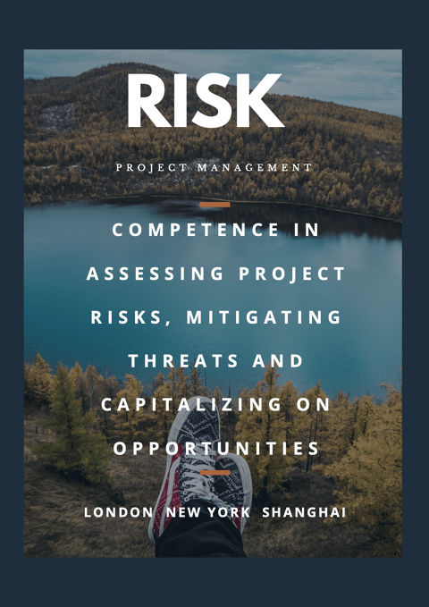 Project Risk Management